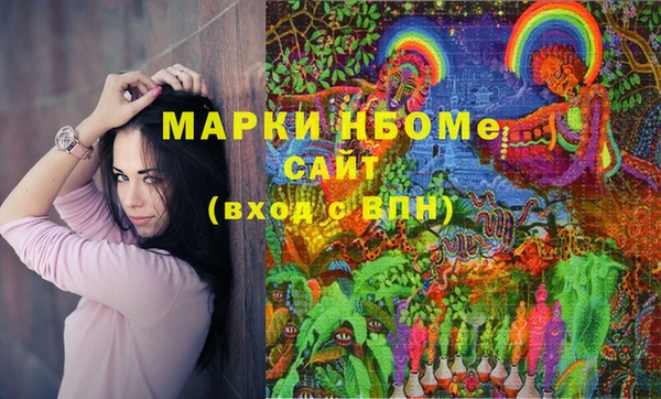 амф Балахна