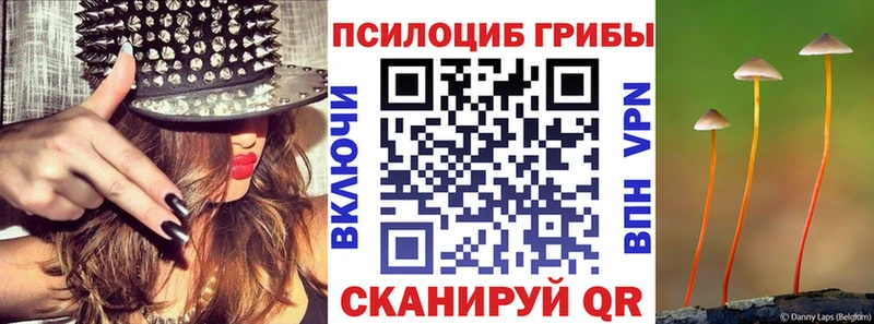 Псилоцибиновые грибы мицелий  наркотики  Верещагино 