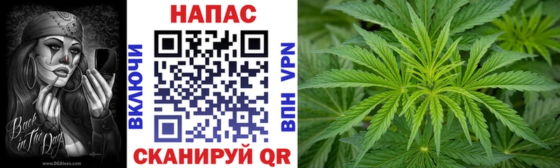 Каннабис сатива Верещагино